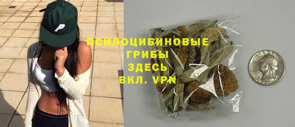 а пвп мука Алзамай
