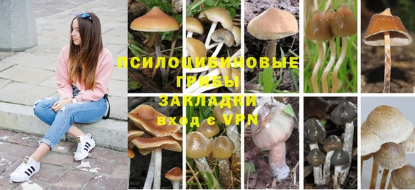 а пвп мука Алзамай