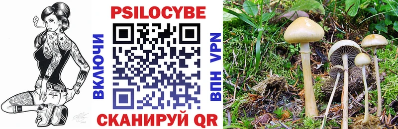 Галлюциногенные грибы Magic Shrooms  даркнет сайт  Цимлянск 
